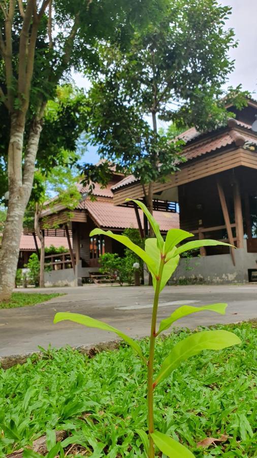 Ruenpurksa Resort Prachuap Khiri Khan Ngoại thất bức ảnh